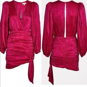 Ronny kobo pink dress